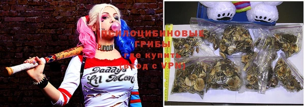 МДПВ Верея